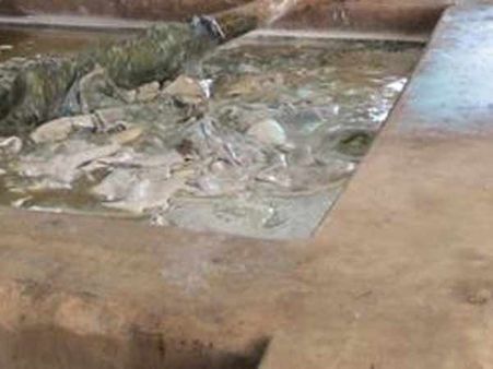 ஒரு சில நிமிடங்களில் 10 பேர் தோல் கழிவுநீரில் மூழ்கிய பரிதாபம்.. உயிர் தப்பியவரின் அதிர்ச்சி தகவல்!