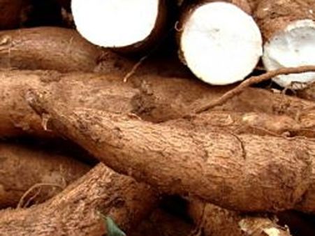 மரவள்ளிக்கிழங்கு வரத்து அதிகரிப்பால் விலை குறைவு – விவசாயிகள் கவலை