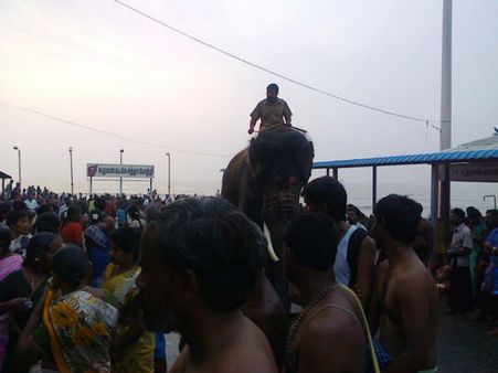 திருச்செந்தூர் கோவில் யானை குமரன் உடல்நலக் குறைவால் மரணம் – கோவிலிலேயே அடக்கம்