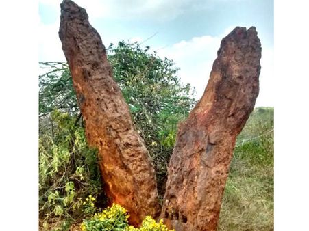 கல்லாக சமைந்து போன காதல்.... காதலர்களை ஈர்க்கும் ஏழைகளின் தாஜ்மஹால்!