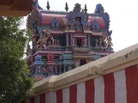 தென்திருப்பேரை மகரநெடுங்குழைக்காதர் - சுக்கிரன்
