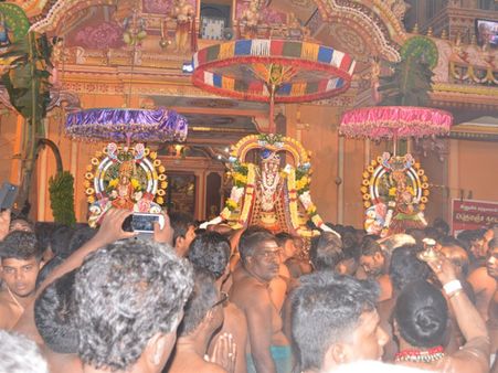 யாழ். இணுவில் முருகன் கோவில் தைப்பூச திருவிழா – தேர் இழுத்து பக்தர்கள் கொண்டாட்டம்!