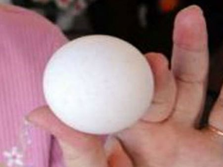 வட்ட வடிவில் ”பிங் பாங்” கோழி போட்ட முட்டை – ஈபேயில் ரூ 45,000க்கு ஏலம்!