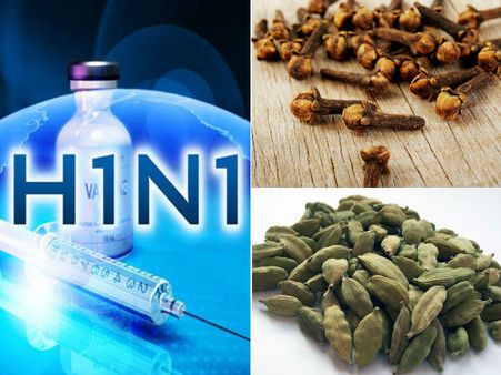 பன்றிக் காய்ச்சலுக்கு இதுவரை 1,115 பேர் பலி; கைவசம், ஏலக்காய், கிராம்பு இருக்கட்டும்!!