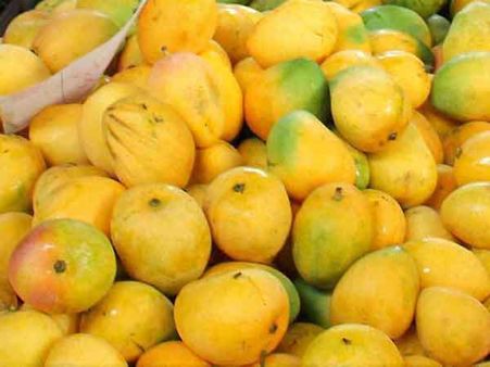 இனிமேல் பாரீஸிலும் இந்திய மாம்பழத்தை சுவைக்கலாம்... தடையை விலக்கியது ஐரோப்பா!