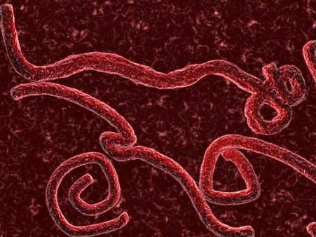 எபோலாவிலிருந்து மீண்டவர்கள் பாதுகாப்பான முறையில் இடைவிடாமல் உறவு கொள்ள ஆலோசனை