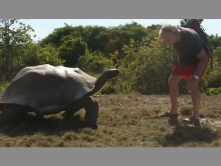 ரொமான்ஸைக் கெடுத்த வாலிபரை துரத்தியடித்த ஆமை...!