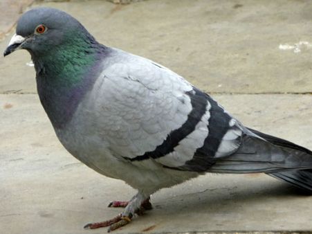 குஜராத்தில் சிக்கிய 