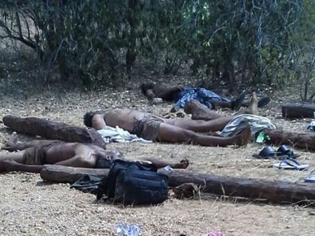 20 தமிழர்கள் படுகொலை: விசாரணை கோரும் ஆம்னஸ்டி இன்டர்நேஷனல்