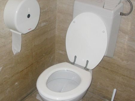 டாய்லட்டில் தாங்க முடியாத நாற்றம்... காரணமான கணவரின் முகத்தை கத்தியால் கிழித்த மனைவி!