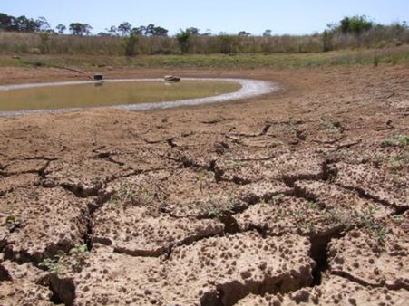 கோடை வெயில்: வறண்டது பாபநாசம் அணை.. மக்கள் தவிப்பு