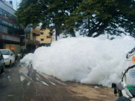 பங்குனி வெயில் பல்ல காட்டி அடிக்கும்போது பெங்களூருவில் ஒரே 'பனிகூட்டமா' இருக்கு பாருங்க!