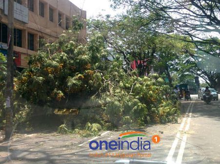 பெங்களூரில் இடி மின்னலுடன் கூடிய பேய் மழை: சென்னைக்கு திருப்பிவிடப்பட்ட 4 விமானங்கள்