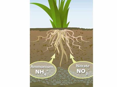 விவசாயிகளுக்கு சப்ளை செய்வதற்காக 'சிறுநீர் சேகரிப்பு திட்டம்'.. மகாராஷ்டிர அரசு முடிவு!