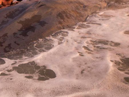 அழுகிய நிலையில் கரை ஒதுங்கிய திமிங்கிலம்- கடல் மாசுபாடுதலே காரணமா?