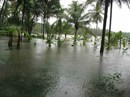 கேரளாவில் பேய் மழை... கடலில் மூழ்கிய நெல்லையைச் சேர்ந்த ஐவர்...!