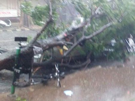 கொடைக்கானலில் கனமழையால் மரம் விழுந்து 3 சுற்றுலா பயணிகள் பலி