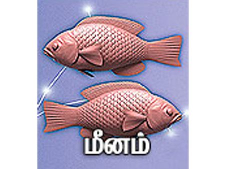 மன்மத ஆண்டு மீன ராசிக்காரர்களே ஆஞ்சநேயரை வழிபடுங்க!