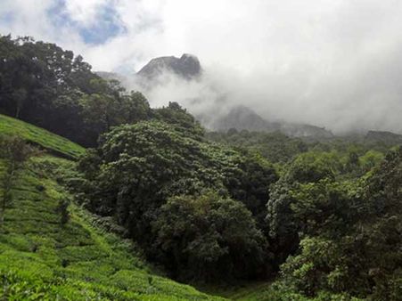 மேற்கு தொடர்ச்சி மலையில் “மழை”- 24 மணிநேரத்தில் பெய்ய வாய்ப்பு