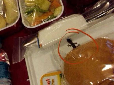 ஏர் இந்தியா விமானத்தில் பல்லி பன்... அதிர்ச்சியடைந்த பயணி