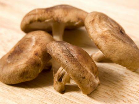 ”காலன்” ஆன காளான்– ஆஸ்திரேலியாவில் இந்திய இளம்பெண் உயிர்பிழைப்பு!