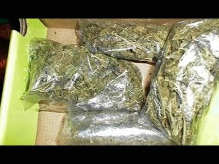 தனுஷ்கோடியில் இலங்கைக்கு கடத்தப்படவிருந்த 685 கிலோ கஞ்சா பறிமுதல்