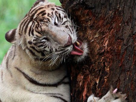 அனிதா, சுனீதா, ப்ரீதா, சங்கீதா... 'தா தா'ன்னு பெயர் முடியுதே.. இவங்கெல்லாம் யாரு தெரியுமா?