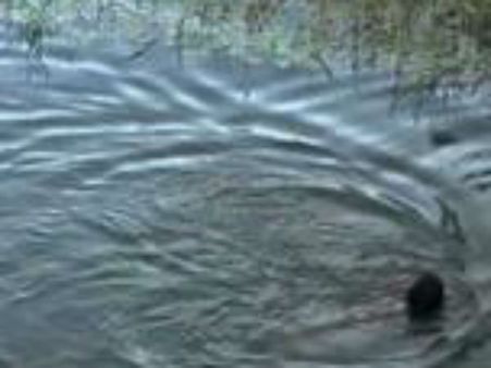 ஆற்றை நீந்திக் கடந்து சாதனை படைத்த பார்வையற்ற சிறுவன்.. கேரளாவில்