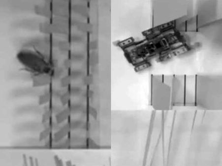 கரப்பான்பூச்சியை பாத்ரூம்ல பார்த்திருப்ப, டாய்லட்ல பார்த்திருப்ப... ரோபோட்டா பார்த்திருக்கியா?