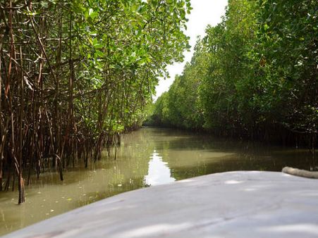 வித்யாசாகார்..சோனி..என்னங்க! மாயமான விமானிகளை அலையாத்திக் காடுகளில் தேடிய மனைவி..உறவினர்கள்..
