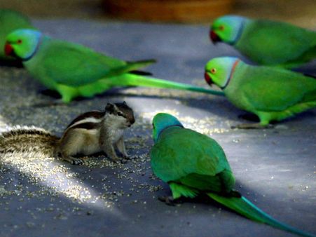 சென்னை பைகிராப்ட்ஸ் சாலையில் சேகர் வீட்டை பார்த்திருக்கிறீர்களா?