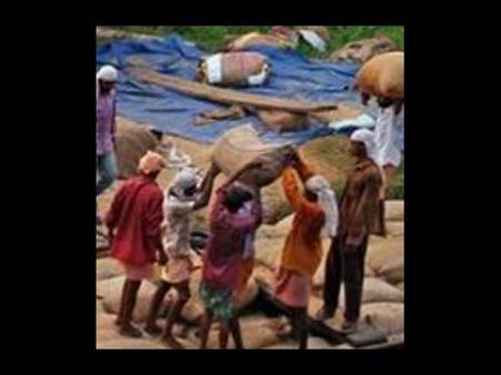 திருவள்ளூர்: இறால்களுக்கு மண்புழு சேகரிக்க கொத்தடிமைகளான கொடுமை... 30 பேர் மீட்பு