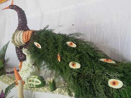 குற்றாலம் சாரல் திருவிழா... பார்வையாளர்களை கவர்ந்த காய்கறி, மலர் கண்காட்சி