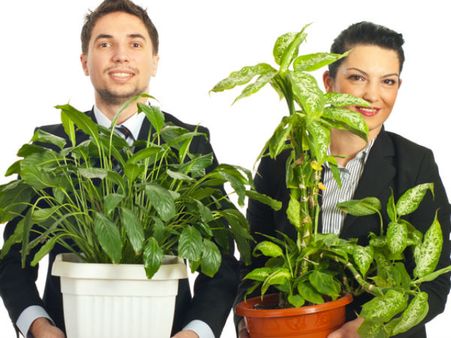 ஹாய் எப்டி இருக்கே...? செடிகளிடம் பேச 3 ஊழியர்களை நியமித்த ‘பூ’ நிறுவனம்