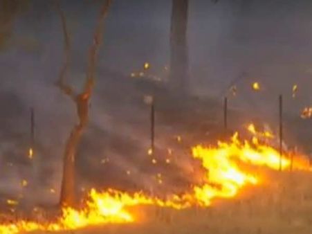 ஆஸ்திரேலிய “புளூ” மலைகளில் பற்றி எரியும் தீ- 100க்கும் மேற்பட்ட தீயணைப்பு வீரர்கள் குவிப்பு