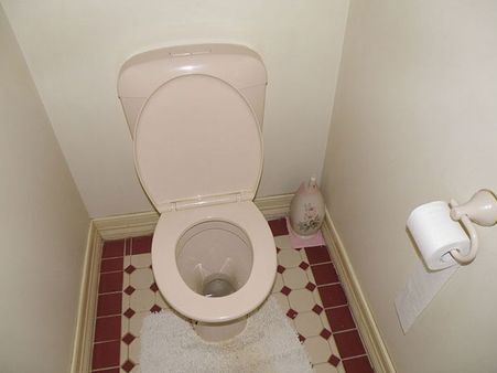 வீட்டில் கழிப்பறை இருந்தால் தான் தேர்தலில் போட்டியிட முடியும்... பீகாரில் புதிய சட்டம்