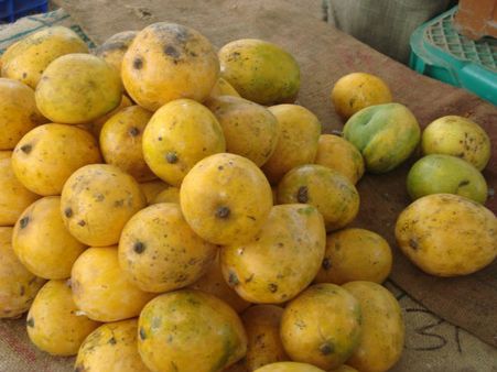 கார்பைடு வைத்து பழங்களை பழுக்க வைப்பவர்கள் “தீவிரவாதிகள்”- ஆந்திரா ஹைகோர்ட் அதிரடி!