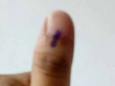 மரக்கிளை விழுந்து பெங்களூர் மாநகராட்சி தேர்தலில் வாக்களிக்க சென்ற வாலிபர் சாவு