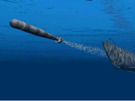 மீனவர்கள் வலையில் சிக்கிய ராக்கெட் வெடிகுண்டு... போலீசார் கைப்பற்றி விசாரணை