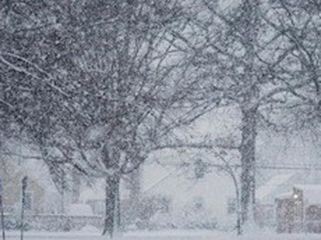 நீலகிரியில் துவங்கியது “நீர்ப்பனி சீசன்” - கடும் குளிரில் வாடி வதங்கும் மக்கள்!