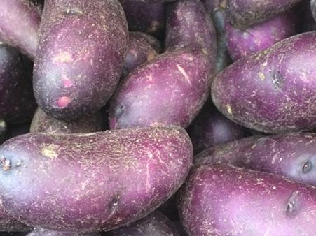 நீல நிற உருளைக்கிழங்கு சாப்பிட்டால் பெருங்குடல் புற்றுநோய் ஓடிடுமாம்...!