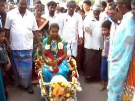 நாய் வண்டியில் ஊர்வலம் வந்த மணமகள்... தர்மபுரி அருகே வித்தியாசமான பெண் அழைப்பு!