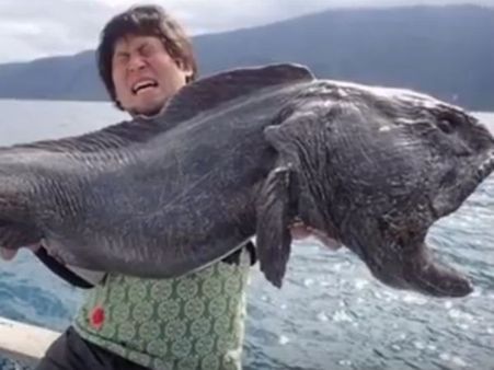 அணுக்கதிர் வீச்சால் அதீத வளர்ச்சியில் மீன்கள்? - சந்தேகத்தின் பிடியில் ஜப்பான் மக்கள்