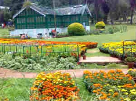 குளுகுளுவென தொடங்கியது ஊட்டி மலர்க்கண்காட்சி- இரண்டாவது சீசன் ஸ்டார்ட்!