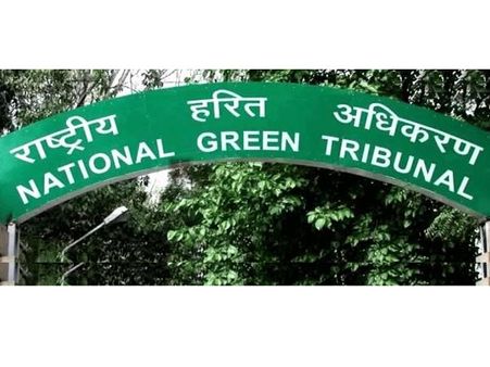 நாப்கின்களால் மாசாகும் சுற்றுச்சூழல் - மனுவின் மீதான தீர்ப்பினை தள்ளி வைத்தது பசுமை தீர்ப்பாயம்!