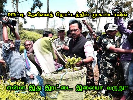  என்ன இது இரட்டை இலையா வருது!! 