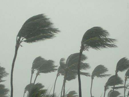 தமிழகம் முழுவதும் கொட்டும் கன மழை… 2 பேர் பலி – நீரில் மூழ்கிய பயிர்கள்