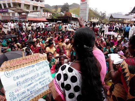 மூணாறு தமிழ்ப் பெண் தோட்ட தொழிலாளர்கள் கேட்ட ஊதியம் ரூ500- கிடைத்தது ரூ301... மீண்டும் போராட்டம்!