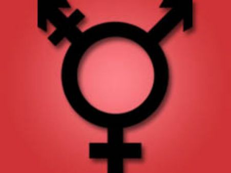 மாற்று பாலினத்தவருக்கான உரிமைகள்களுக்கு முன்னுரிமை: ஐ.நா.வில் இந்தியா