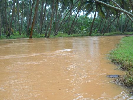 புயல் போல செயல்பட்ட அரசு அதிகாரிகள்.. மழை வெள்ளம் கிராமத்துக்குள் புகாமல் தடுப்பு